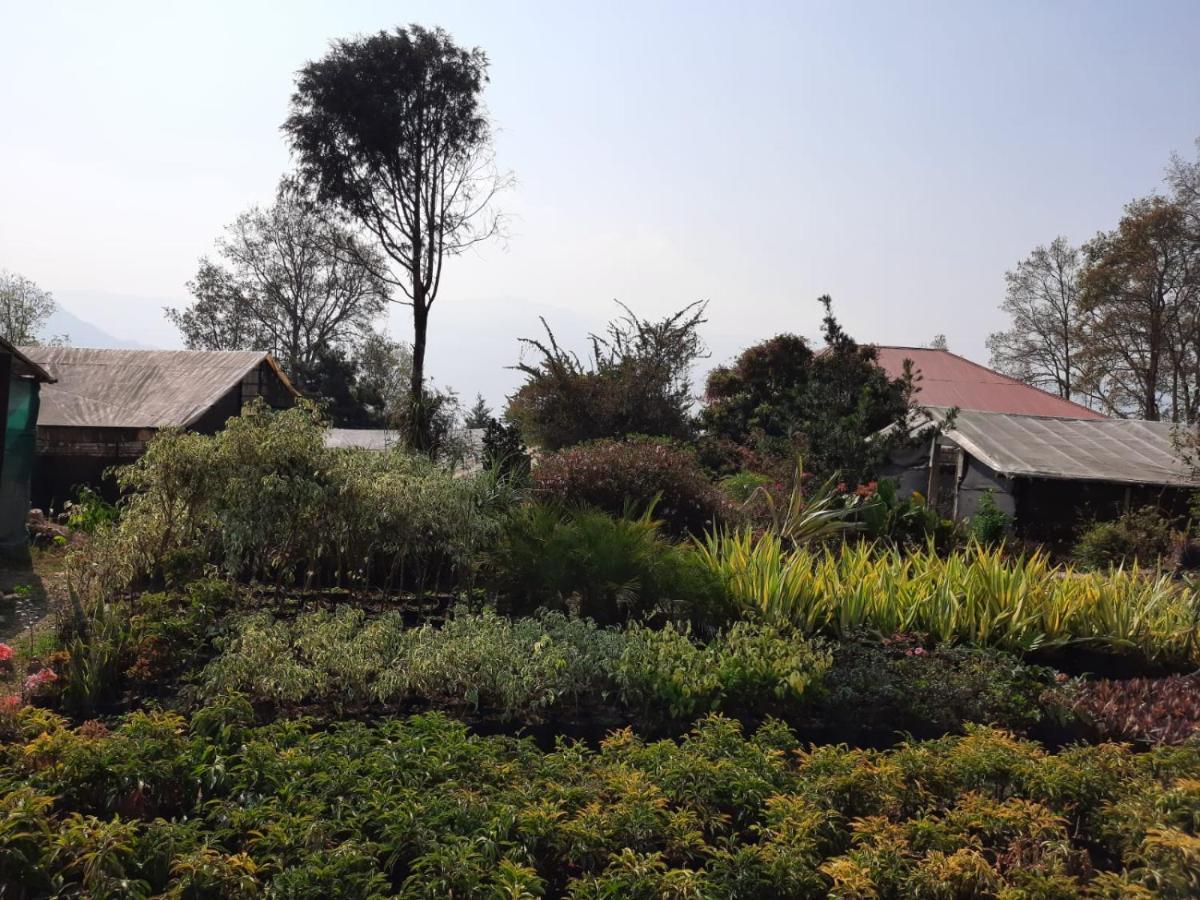 Aaravi Garden Homestay Kalimpong Exterior foto